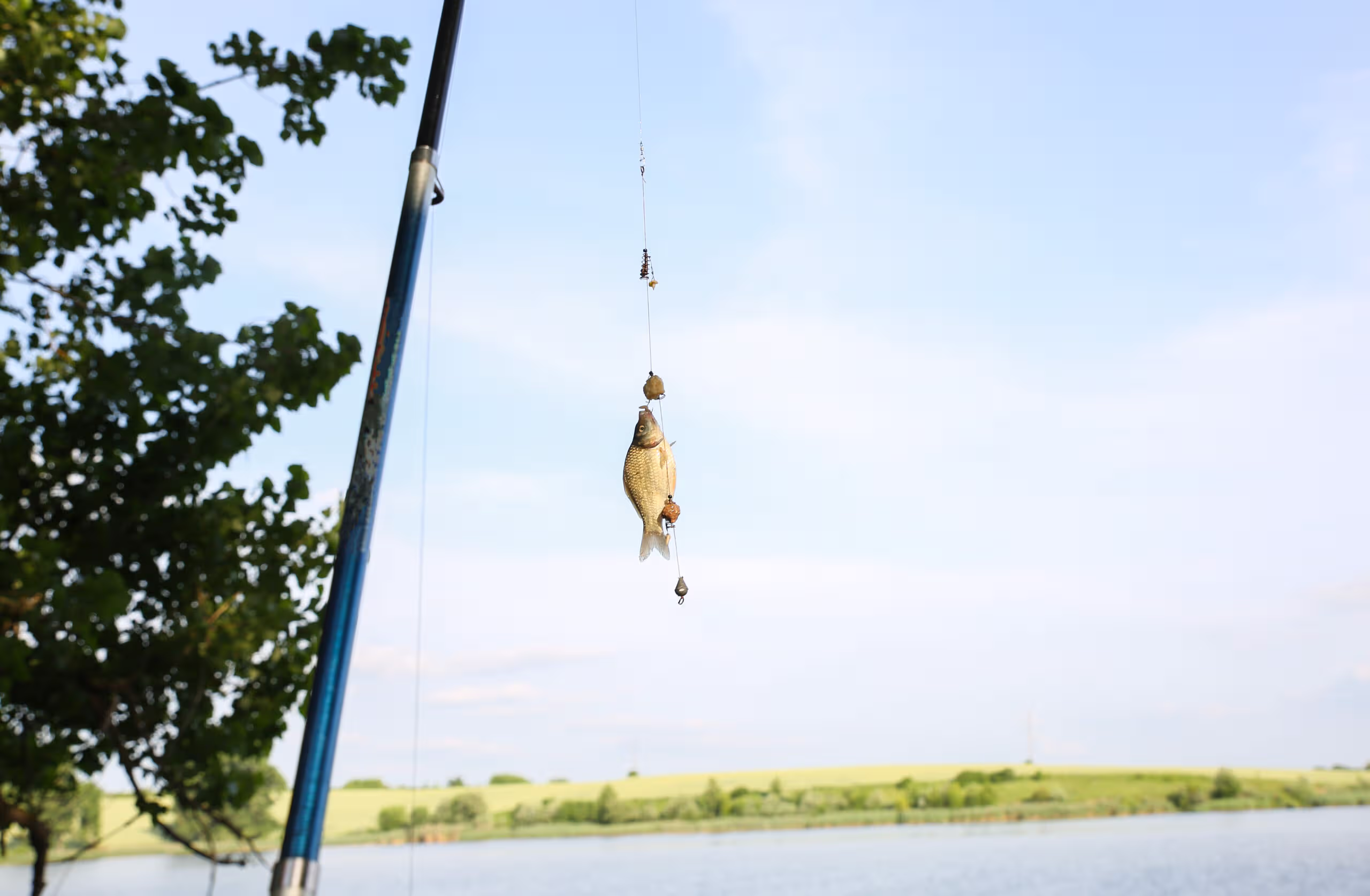 Jak zacząć wędkować? 5 man catching fish with rods near lake hobby outdoors scaled